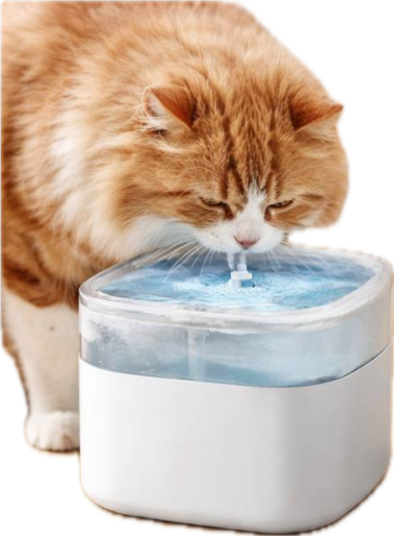 Smart Cat Water Fountain 3L – Automatic Pet Water Dispenser